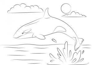 Coloriage orque Et Baleine Coloriage Adorable orque Qui Saute Hors De L Eau