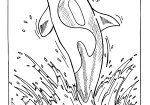 Coloriage orque Seigneur Des Anneaux 20 Dessins De Coloriage orque Seigneur Des Anneaux Imprimer Coloriage orque Seigneur Des Anneaux 20 Dessins De Coloriage orque Seigneur Des Anneaux Imprimer