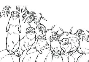 Coloriage orque Willy Coloriage Banc De Parc A Imprimer Coloriage A Imprimer Gratuit