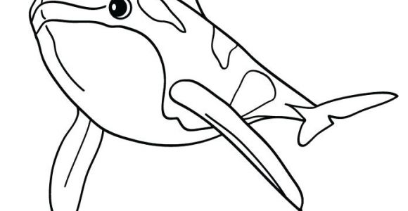 Coloriage orque Willy Coloriages Coloriage Dun Epaulard Frhellokids Coloriage orque