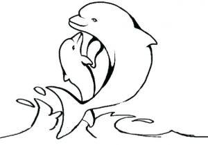 Coloriage orque Willy Coloriages Mandala Dauphin Adultes Page 2 Dessin De Mandala Dauphin