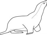 Coloriage Otarie à Imprimer 106 Dessins De Coloriage Phoque à Imprimer