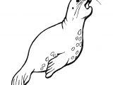 Coloriage Otarie à Imprimer Coloriage Animaux Marins Les Beaux Dessins De Meilleurs