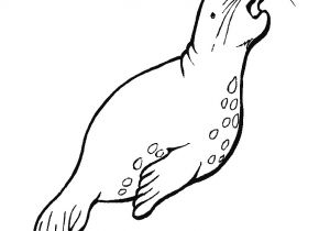 Coloriage Otarie à Imprimer Coloriage Animaux Marins Les Beaux Dessins De Meilleurs