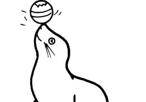 Coloriage Otarie à Imprimer Coloriage Phoque à Imprimer Gratuitement