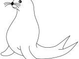 Coloriage Otarie à Imprimer Coloriage Phoque Couleur Dessin Gratuit à Imprimer