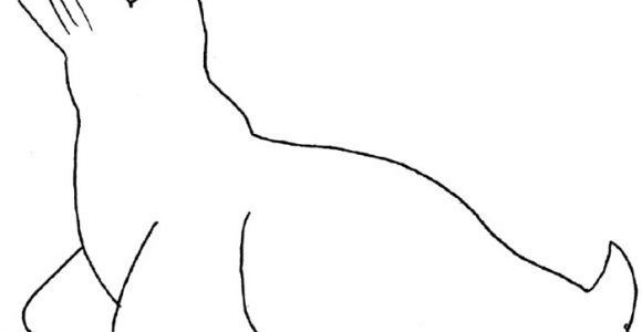 Coloriage Otarie à Imprimer Coloriage Phoque Gratuit à Imprimer
