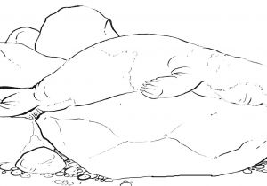 Coloriage Otarie à Imprimer Dessins Gratuits à Colorier Coloriage Phoque à Imprimer