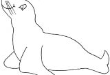 Coloriage Otarie à Imprimer Nos Jeux De Coloriage Phoque à Imprimer Gratuit