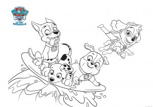 Coloriage Oum Le Dauphin à Imprimer Frais Dessin Pat Patrouille A Colorier En Ligne – Mademoiselleosaki