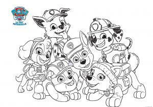 Coloriage Oum Le Dauphin à Imprimer Frais Dessin Pat Patrouille A Colorier En Ligne – Mademoiselleosaki