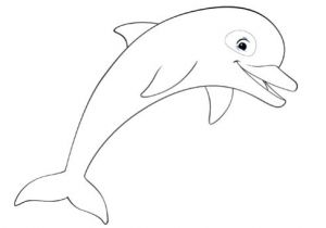 Coloriage Oum Le Dauphin Coloriages Oum Le Dauphin Blanc Coloriages Oum Coloriage Dauphin