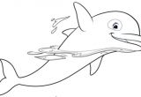 Coloriage Oum Le Dauphin Coloriages Oum Le Dauphin Blanc