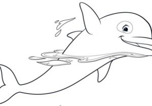 Coloriage Oum Le Dauphin Coloriages Oum Le Dauphin Blanc