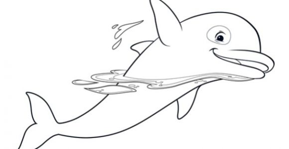 Coloriage Oum Le Dauphin Coloriages Oum Le Dauphin Blanc