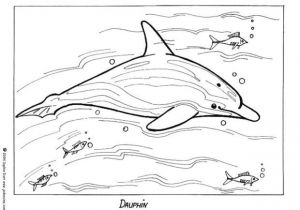 Coloriage Oum Le Dauphin Superbes Coloriages De Dauphin Facile – Kewlfr