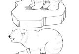 Coloriage Ours Banquise 21 Best Ours Polaire Images On Pinterest