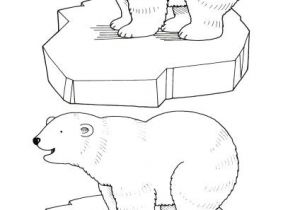 Coloriage Ours Banquise 21 Best Ours Polaire Images On Pinterest