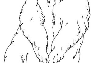 Coloriage Ours Banquise Coloriage Ours Polaire Debout