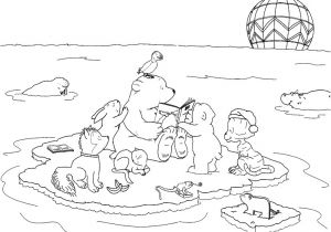 Coloriage Ours Banquise Coloriage Ours Polaire