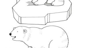 Coloriage Ours Blanc 21 Best Ours Polaire Images On Pinterest