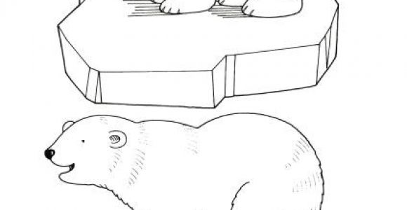 Coloriage Ours Blanc 21 Best Ours Polaire Images On Pinterest