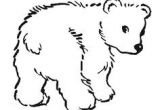 Coloriage Ours Blanc Bear Coloring Page From Twistynoodle