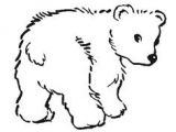 Coloriage Ours Blanc Bear Coloring Page From Twistynoodle