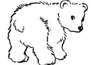 Coloriage Ours Blanc Bear Coloring Page From Twistynoodle