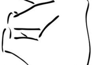 Coloriage Ours Blanc Coloriage Nounours   Colorier Dessin   Imprimer