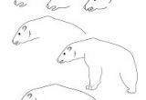 Coloriage Ours Blanc Résultat De Recherche D Images Pour "coloriage Ours Polaire"