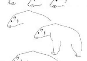 Coloriage Ours Blanc Résultat De Recherche D Images Pour "coloriage Ours Polaire"