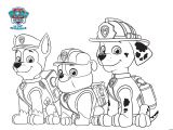 Coloriage Paddington A Imprimer Coloriage Marcus Chase Zuma Le Grand sourire Min Dessin  