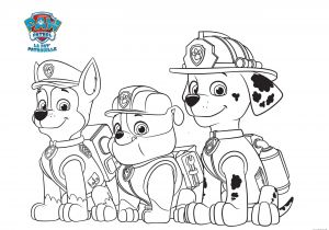 Coloriage Paddington A Imprimer Coloriage Marcus Chase Zuma Le Grand sourire Min Dessin  