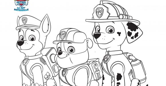 Coloriage Paddington A Imprimer Coloriage Marcus Chase Zuma Le Grand sourire Min Dessin  