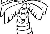 Coloriage Palmier A Imprimer Gratuit Coloriage Palmier