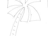Coloriage Palmier A Imprimer Gratuit Coloriage Palmier