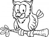 Coloriage Palmier A Imprimer Gratuit Dessins Gratuits   Colorier Coloriage Hibou   Imprimer