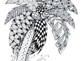 Coloriage Palmier A Imprimer Gratuit Palmier … Zen T S & More Pinterest