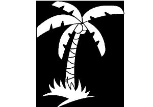 Coloriage Palmier Cocotier Cocotier 9 Nature – Coloriages   Imprimer
