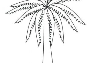 Coloriage Palmier Dattier Coloriage Palmier Img 9879 Dattier – Fashionzenfo