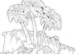 Coloriage Palmier Dattier Coloriage Palmiers Jecolorie