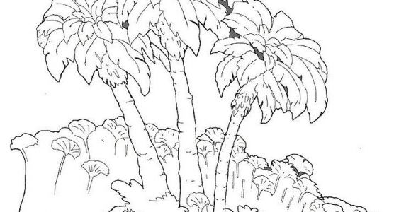 Coloriage Palmier Dattier Coloriage Palmiers Jecolorie