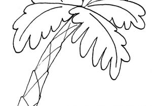 Coloriage Palmier Dattier Dessins De Arbre   Colorier