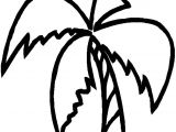 Coloriage Palmier Facile Coloriage Palmier   Imprimer