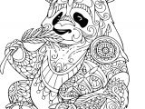 Coloriage Panda A Imprimer Coloriage Panda Roux Dessin De Panda Roux A Imprimer