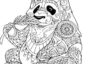Coloriage Panda A Imprimer Coloriage Panda Roux Dessin De Panda Roux A Imprimer