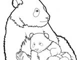 Coloriage Panda A Imprimer Panda 14 Animaux – Coloriages à Imprimer