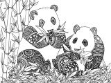 Coloriage Panda A Imprimer Projet Coloriages Anti Stress – Part 10 Et Fin – Le Chocobo