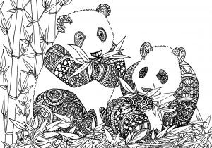 Coloriage Panda A Imprimer Projet Coloriages Anti Stress – Part 10 Et Fin – Le Chocobo